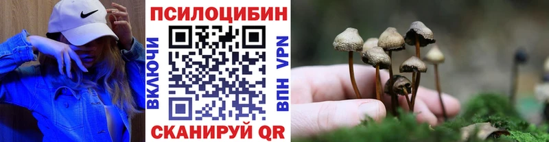 где продают наркотики  Александровское  мориарти как зайти  Псилоцибиновые грибы MAGIC MUSHROOMS  МЕГА маркетплейс 