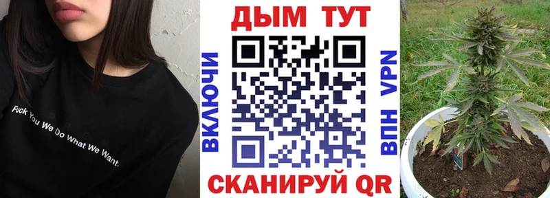 где продают Александровское МАРИХУАНА OG Kush